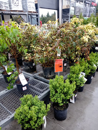 Home Improvement Store «The Home Depot», reviews and photos, 267 Alwington Blvd, Warrenton, VA 20186, USA