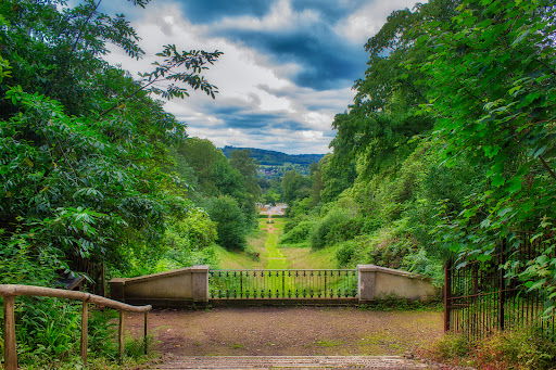 The Deepdene Trail