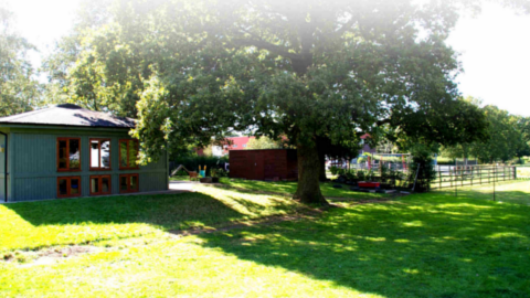 Dauxwood Pre School Dauxwood Pre-School Group Natts Ln, La, Billingshurst RH14 9EY, United Kingdom