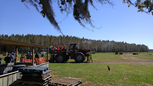 Ranch «Smith Family Ranch, LLC», reviews and photos, 13444 Moore Road, Lakeland, FL 33809, USA