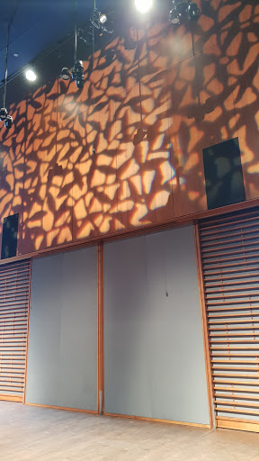 Art Center «Reva and David Logan Center for the Arts», reviews and photos, 915 E 60th St, Chicago, IL 60637, USA