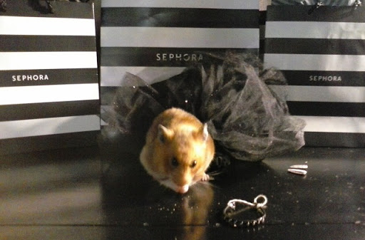 Cosmetics Store «SEPHORA inside JCPenney», reviews and photos, 11534 Parkside Dr, Farragut, TN 37934, USA