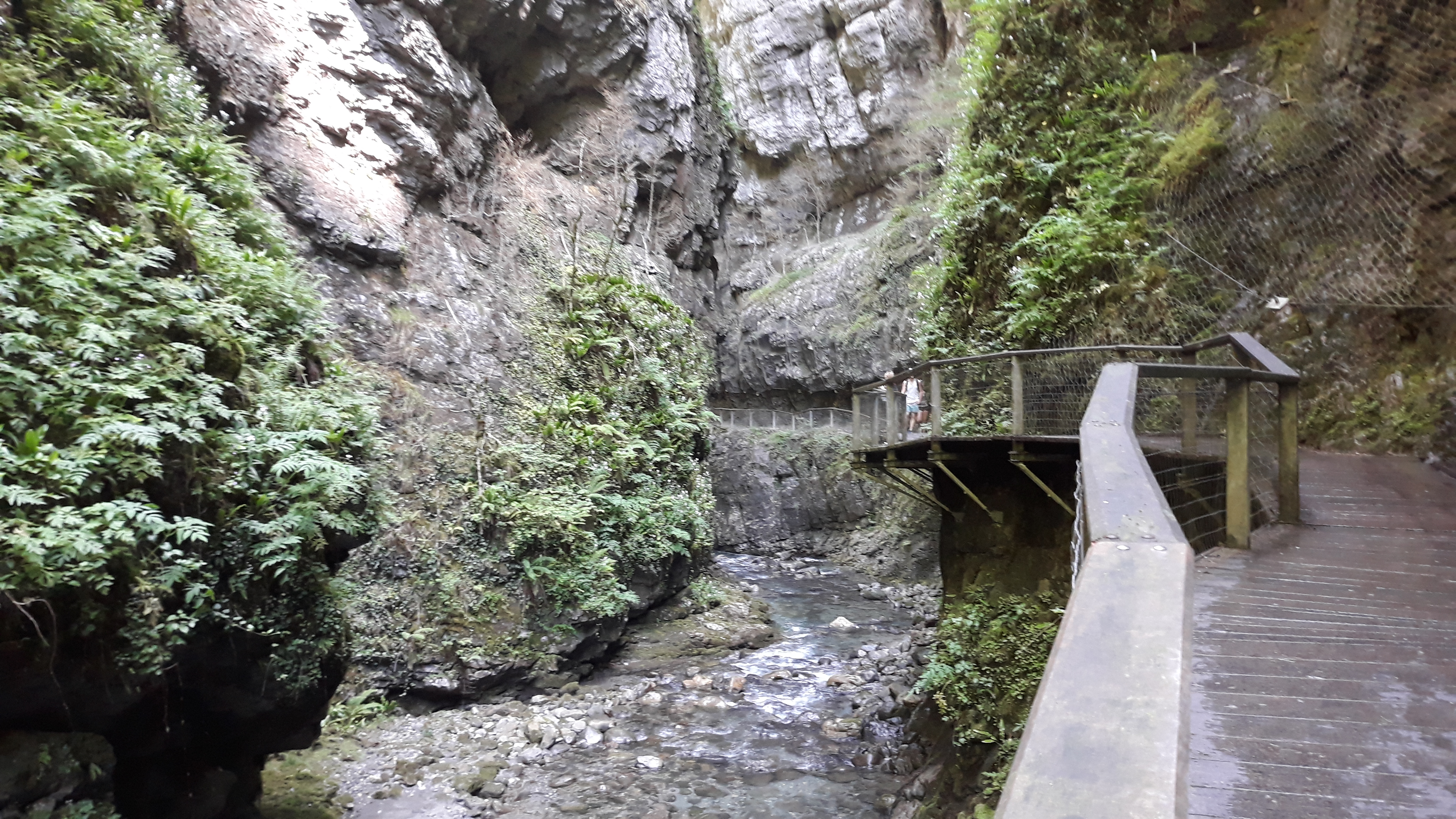 Photo n° 7 de l'avis de Billaud.i fait le 01/07/2019 à 06:22