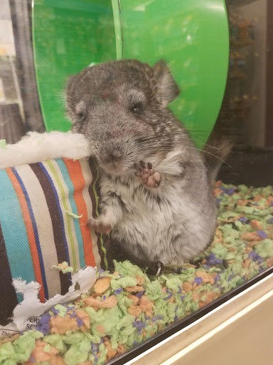 Pet Supply Store «PetSmart», reviews and photos, 5640 Cedar Lake Rd, Minneapolis, MN 55416, USA