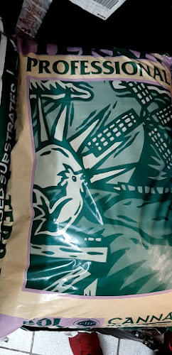 Teléfono de El Grow de san felipe GROW SHOP ONLINE
