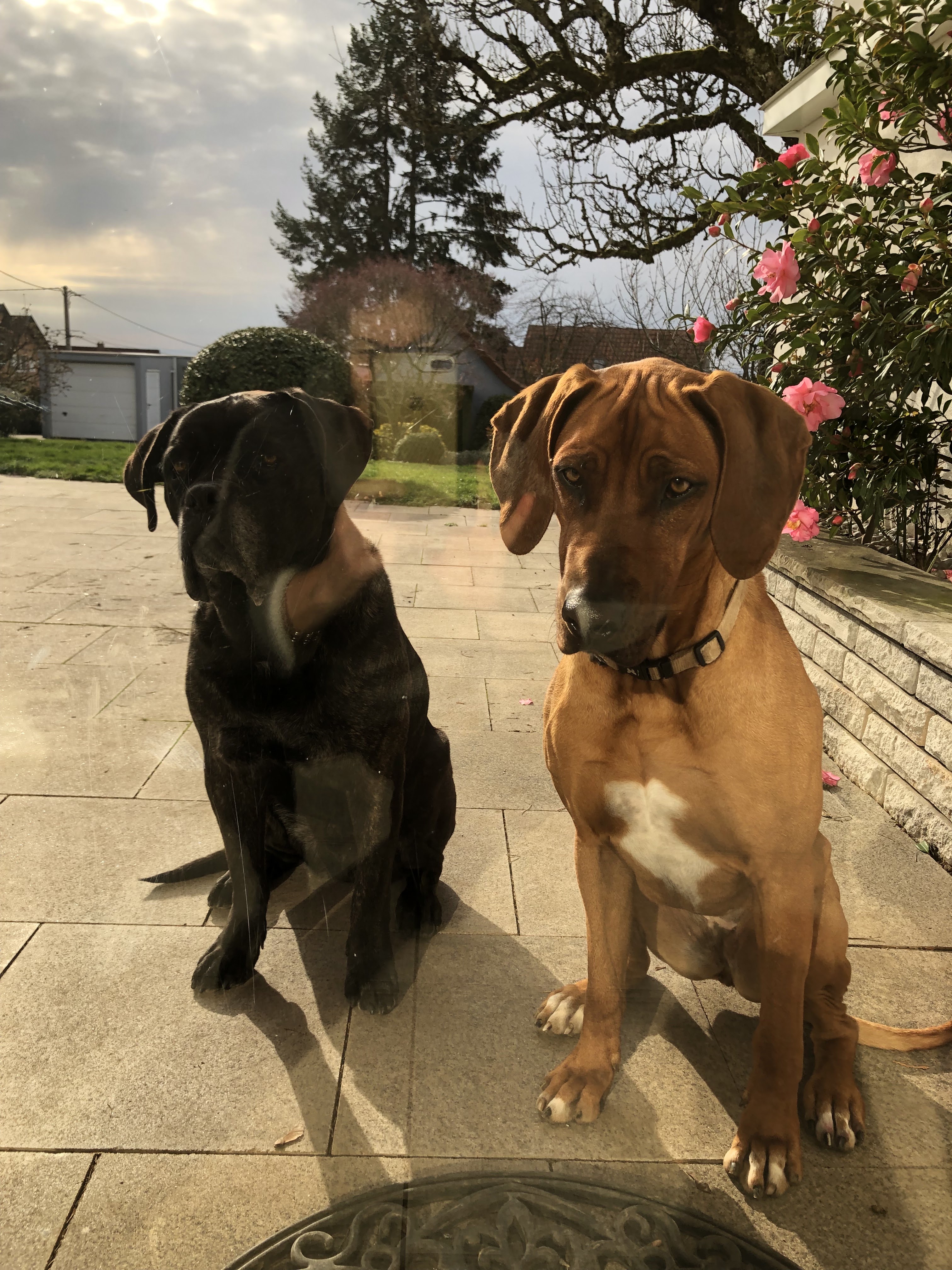 Photo n° 1 de l'avis de Evelyne.A fait le 18/01/2024 à 17:14