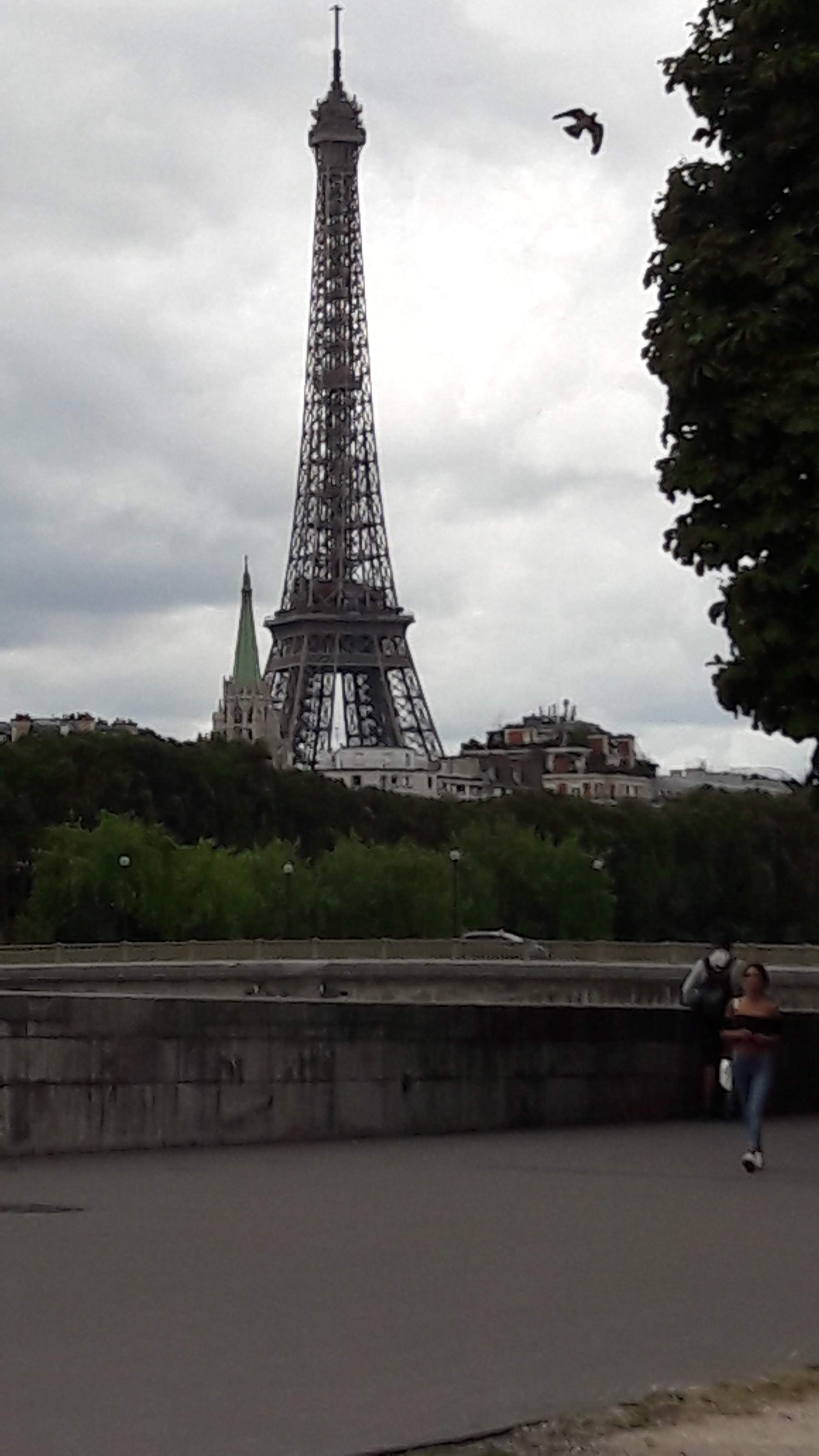 Photo n° 1 de l'avis de Papa.� fait le 12/08/2018 à 09:20