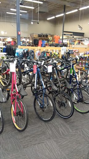 Camping Store «REI», reviews and photos, 12634 N Paradise Village Pkwy W, Phoenix, AZ 85032, USA