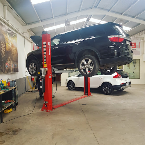 Shelby Motors Lubricentro - Taller de reparación de automóviles