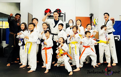 Taekwondo Spirit