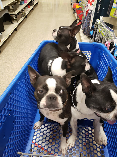 Pet Supply Store «PetSmart», reviews and photos, 815 McDermott Street, Council Bluffs, IA 51501, USA