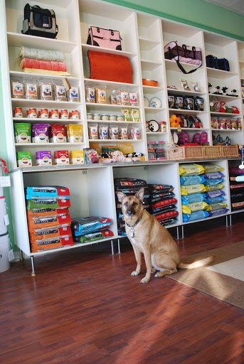Pet Supply Store «Animal Outfitters, Inc.», reviews and photos, 986 Elmwood Ave, Buffalo, NY 14222, USA
