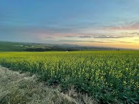 Farmland Company Inc - Photo 2 - Car repair in Spokane, WA, Spokane
