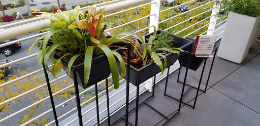 Furniture Store «Crate and Barrel», reviews and photos, 555 Bellevue Way NE, Bellevue, WA 98004, USA