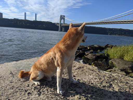 Park «Fort Washington Park», reviews and photos, Hudson River Greenway, New York, NY 10032, USA