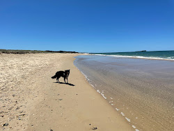 Zdjęcie Mudjimba Dog Beach z poziomem czystości wysoki