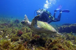 Paradise Diving Martinique image