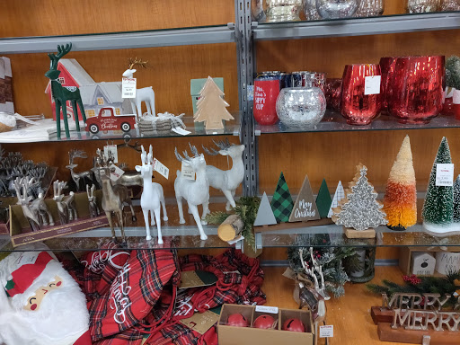 Department Store «T.J. Maxx», reviews and photos, 2615 S Woodland Blvd, DeLand, FL 32720, USA