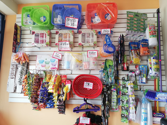 Opinii despre Bodega Bazar Surtimax în Végueta - Tienda