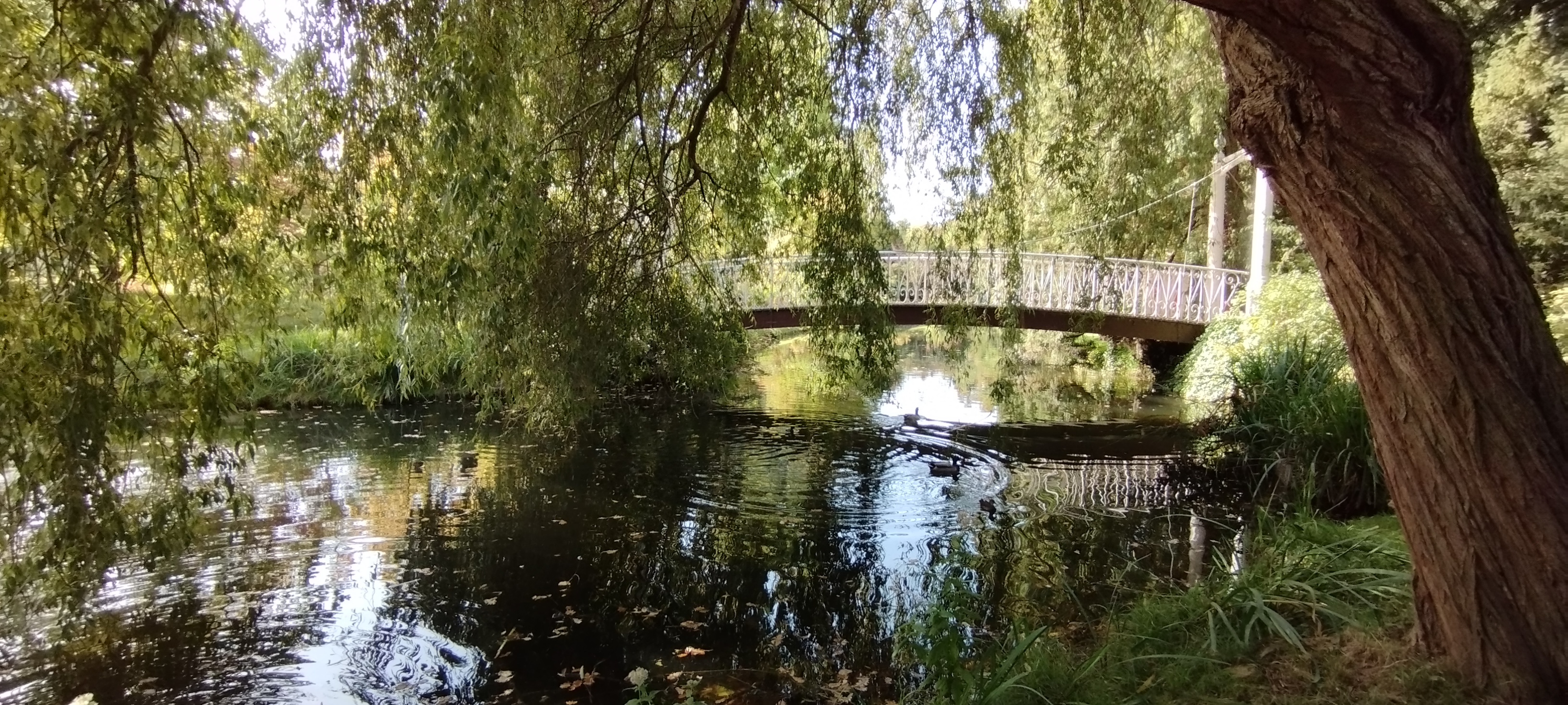 Photo n° 20 de l'avis de Guy.O fait le 08/10/2023 à 14:43