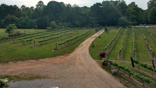 Vineyard «Lexington Vineyard», reviews and photos, 2000 Dog Hollow Rd, Lynnville, TN 38472, USA