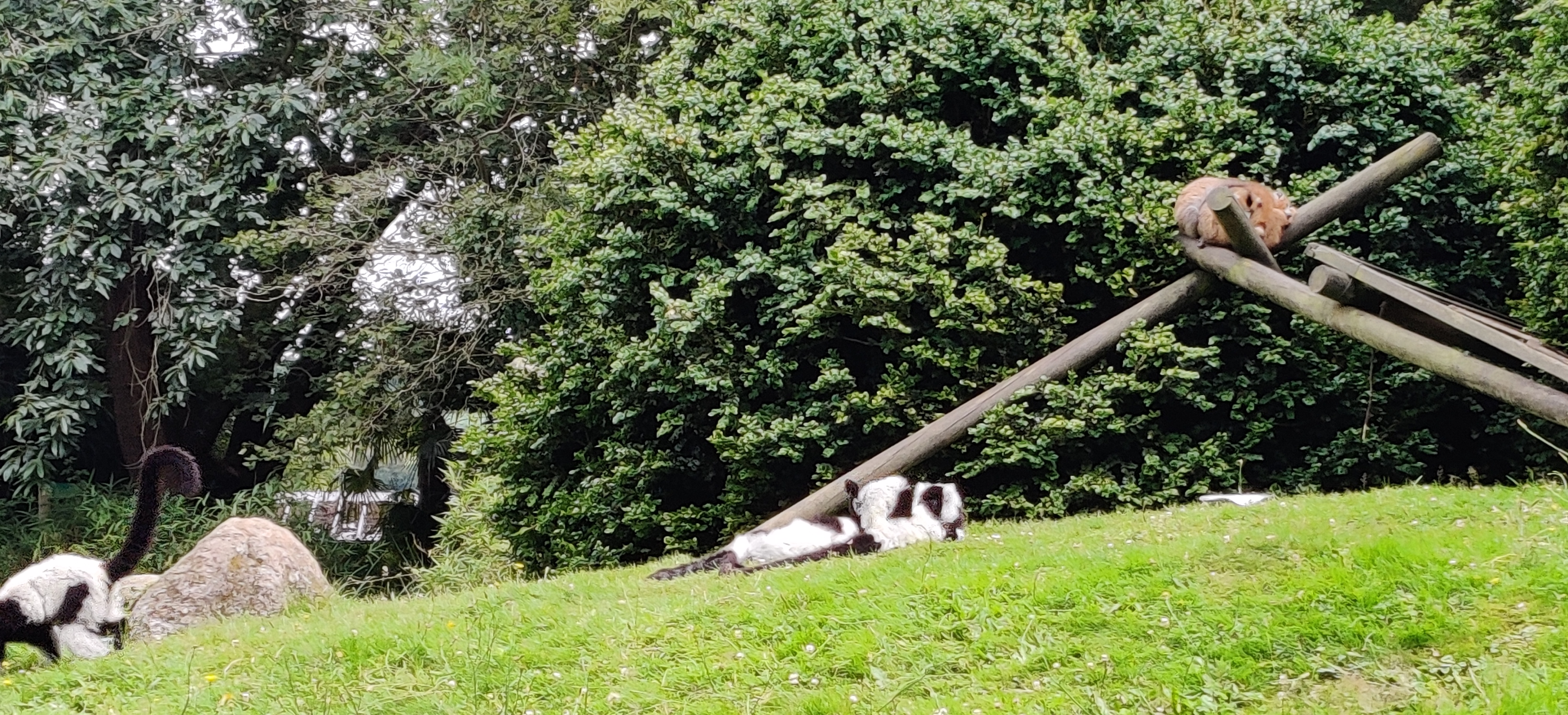 Photo n° 14 de l'avis de Maxime.o fait le 17/07/2019 à 19:11