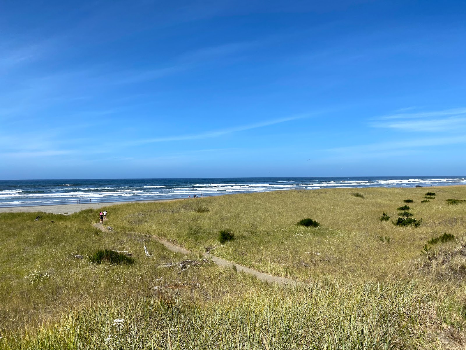 Foto de Grayland Beach con arena beige superficie