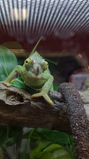 Pet Supply Store «Petco Animal Supplies», reviews and photos, 2365 NW Kings Blvd, Corvallis, OR 97330, USA