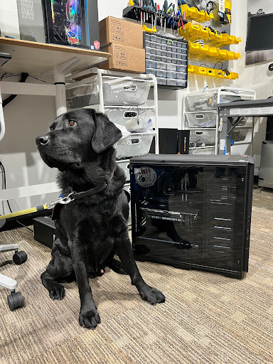 Computer Service «Arbor Computers», reviews and photos, 2860 Carpenter Rd #100d, Ann Arbor, MI 48108, USA