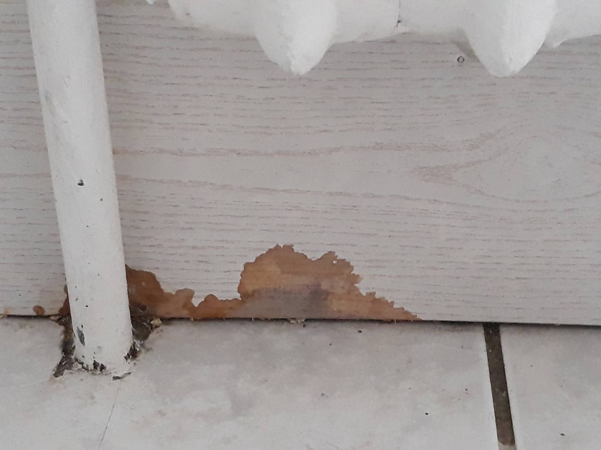Photo n° 8 de l'avis de Marion.e fait le 11/03/2020 à 17:08