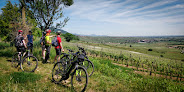 Vélo'vignes Pfaffenheim