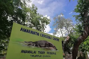 Amaravathi Crocodile Farm image