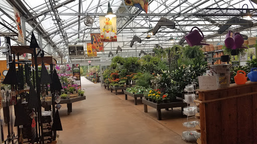 Garden Center «Bucks Country Gardens», reviews and photos, 1057 N Easton Rd, Doylestown, PA 18902, USA