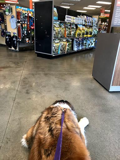 Pet Supply Store «Petco Animal Supplies», reviews and photos, 10355 Federal Blvd e, Westminster, CO 80260, USA