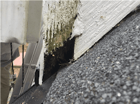 Critter Removal Ohio - Photo 8 - Car repair in Columbus, OH, Columbus