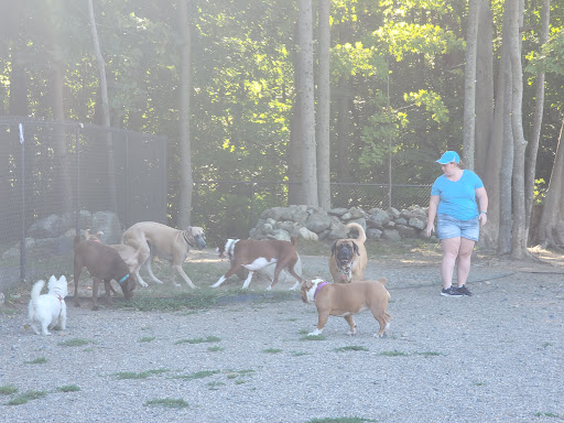 Park «Endicott Park (Town of Danvers)», reviews and photos, 57 Forest St, Danvers, MA 01923, USA