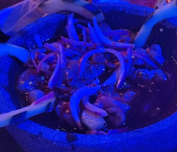 Plaza mariachi photo