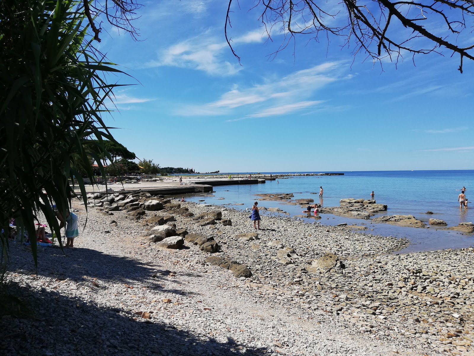 Foto di Polynesia beach con baia spaziosa