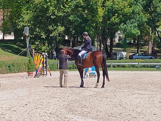 Comentarii opinii despre Pannon Lovasakadémia