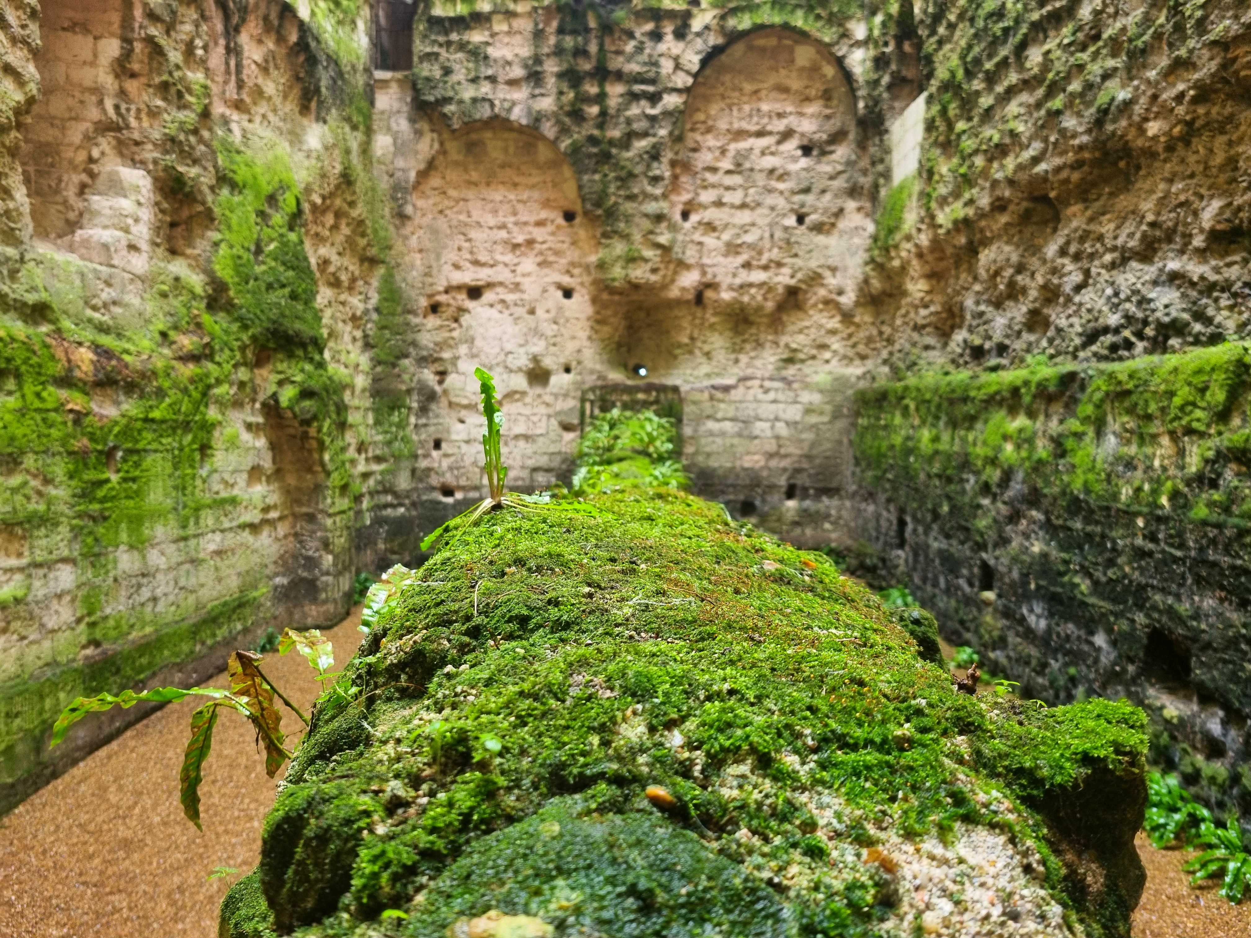 Photo n° 1 de l'avis de Laura.h fait le 09/03/2023 à 18:11