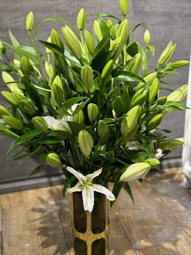 Comentarii opinii despre توب فلاور Top Flower