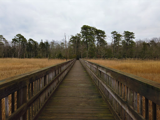 Nature Preserve «Eldora Nature Preserve», reviews and photos, 2350 NJ-47, Delmont, NJ 08314, USA