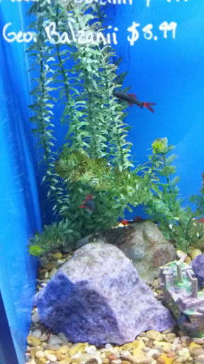 Pet Supply Store «Odyssey Pets», reviews and photos, 14999 Preston Rd #400a, Dallas, TX 75254, USA