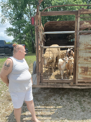 Flea Market «Parkland Flea Market & Restaurant», reviews and photos, 4994 Murfreesboro Rd, Lebanon, TN 37090, USA