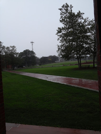 University «University of Hartford», reviews and photos