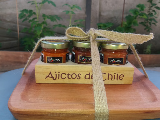 Ajictos de Chile - Chillán