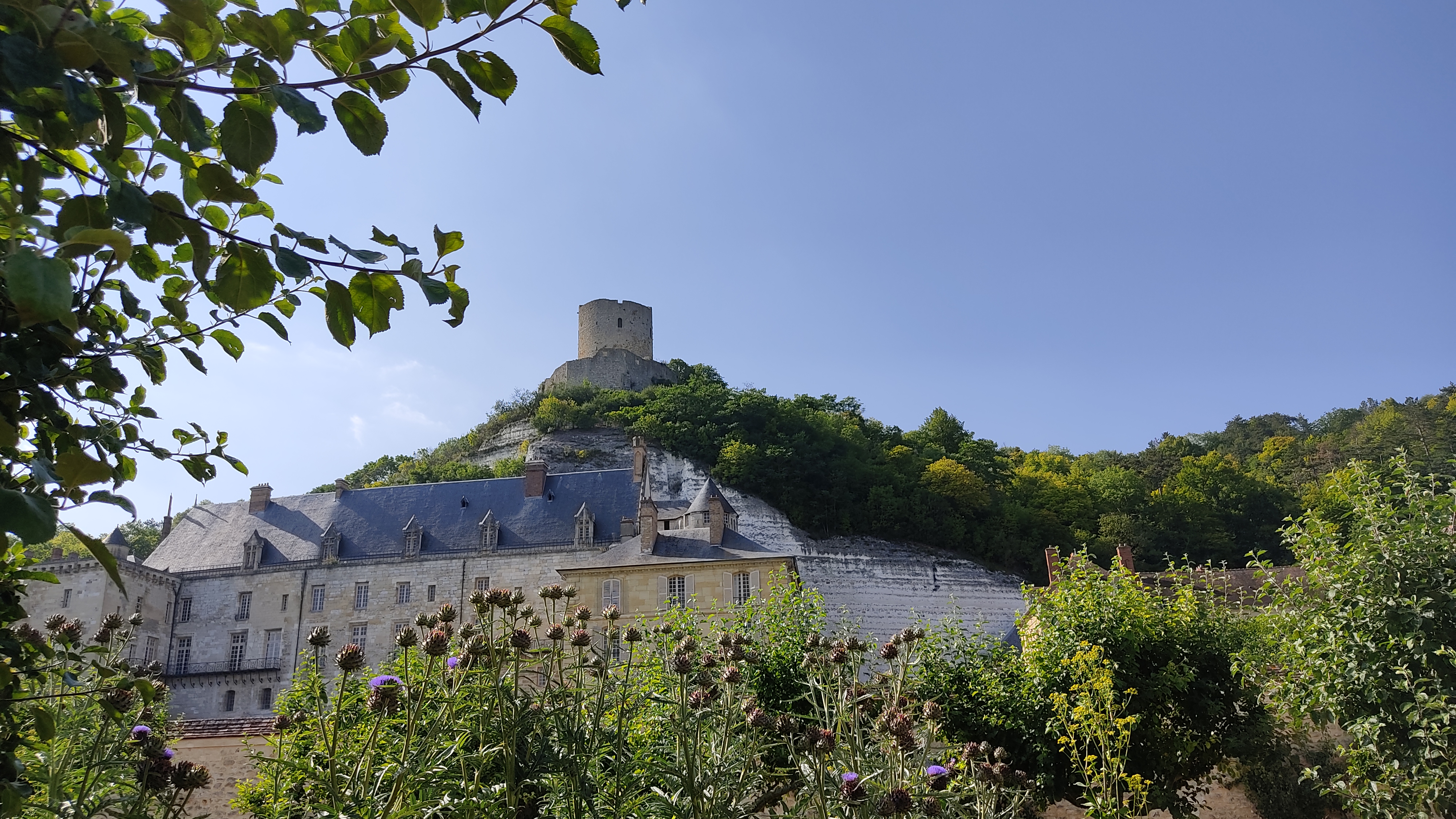 Photo n° 1 de l'avis de Thibault.e fait le 17/07/2021 à 17:19