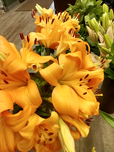 Florist «Grace Harper Florist, Inc.», reviews and photos, 4135 Woodward Ave, Detroit, MI 48201, USA