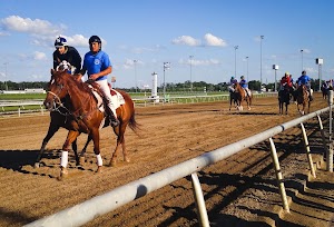 Indiana Grand Racing & Casino - photo 6