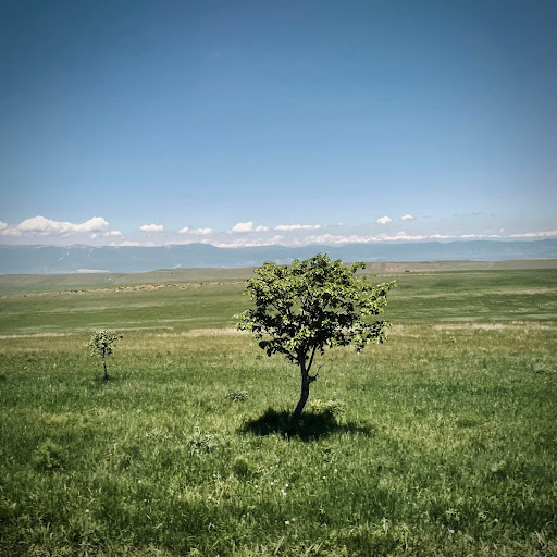 Bus Tour Agency «Rek Travel, LLC», reviews and photos, 5825 W Irving Park Rd, Chicago, IL 60634, USA